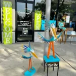 Junque in the Trunk Coupons Gallery Image