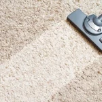 Budget Steemer Coupons Gallery Image